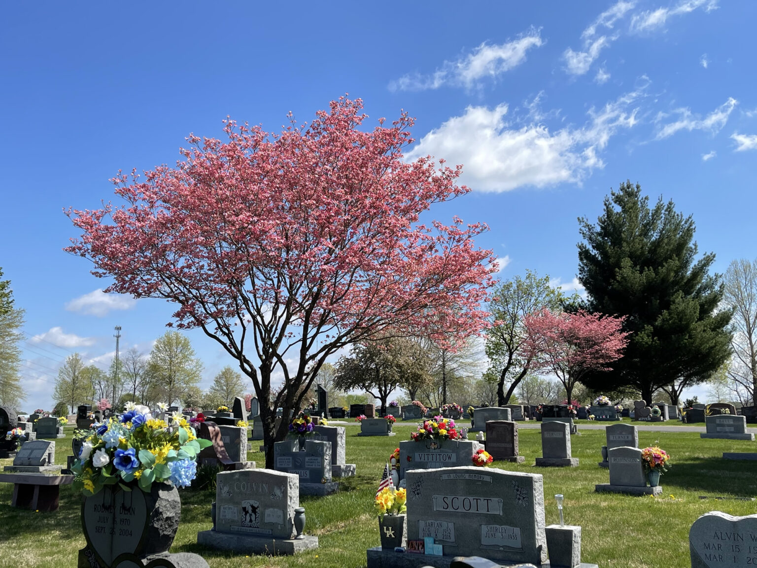 HeartFelt Testimonials - Brookland CemeteryBrookland Cemetery